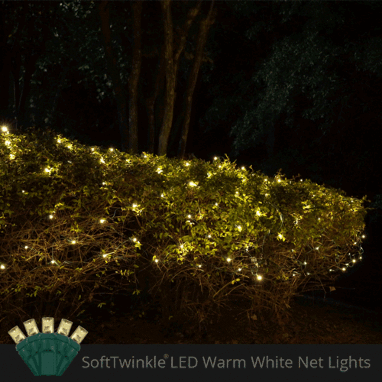5mm 4' x 6' Warm White SoftTwinkle LED Net Lights, Green Wire